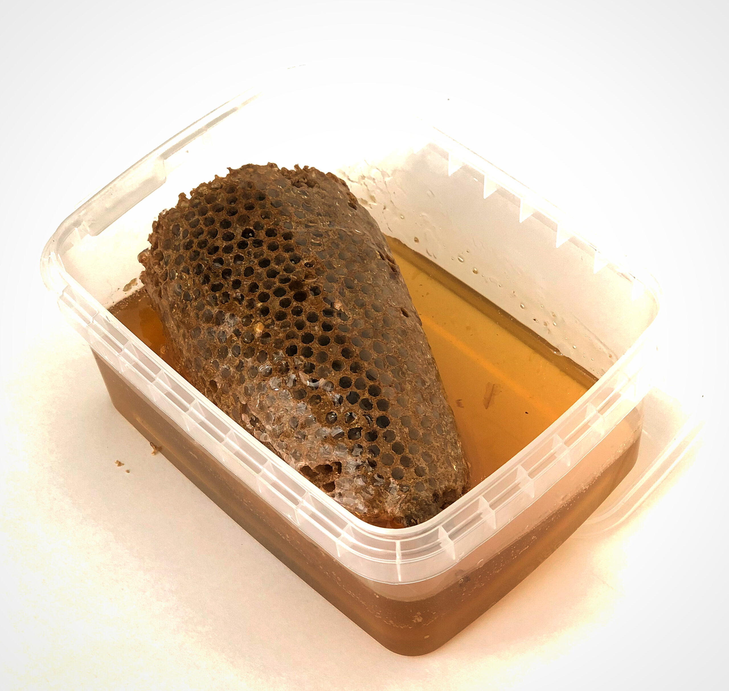 عسل وحشی جنوب - Image 4