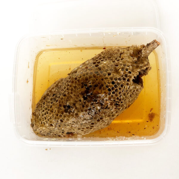 عسل وحشی جنوب