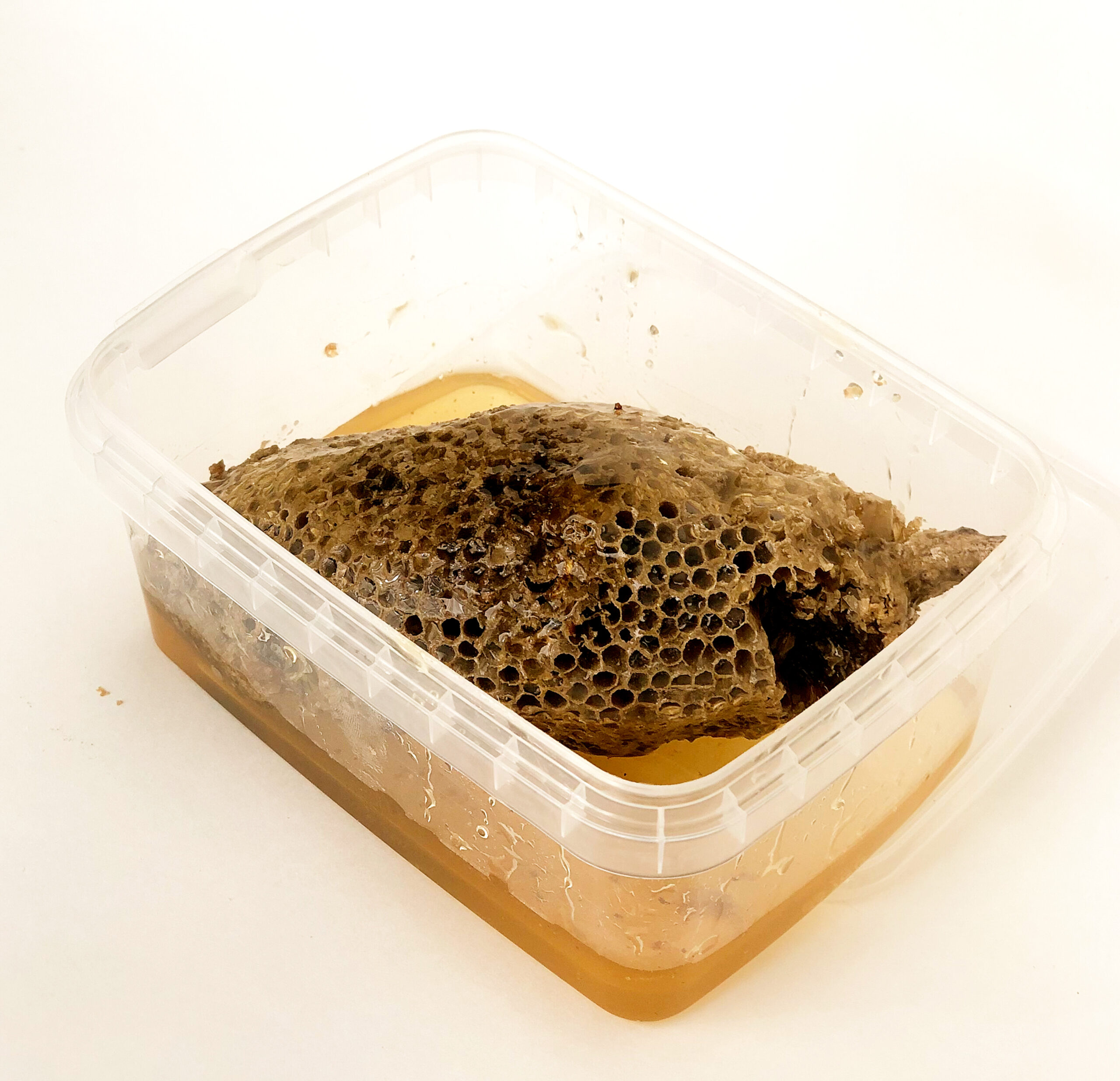 عسل وحشی جنوب - Image 2